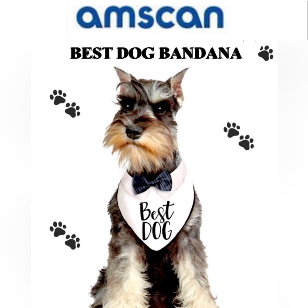 🐾 🐕Wedding Day Pet Accessory best dog Bandana One size fits most NWT